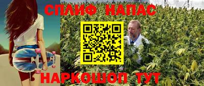 индика Мариинск
