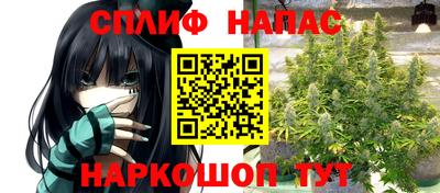 гашик Малоярославец