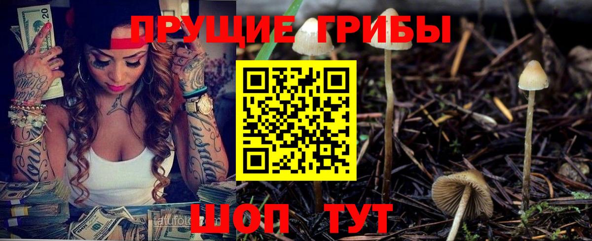 Галлюциногенные грибы ЛСД  Вход с VPN  Шали 